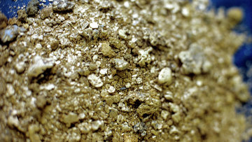 Нашедший золото в лесу амурчанин получил условный срок за то, что не сдал его