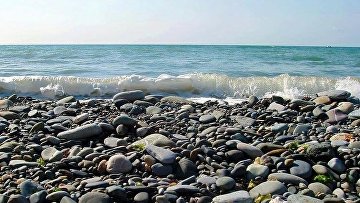 Фирма обжаловала штраф Росприроднадзора в 145 млн руб за загрязнение Черного моря