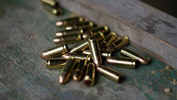 СК изъял более 100 тыс патронов из дома Барданова, стрелявшего по силовикам
