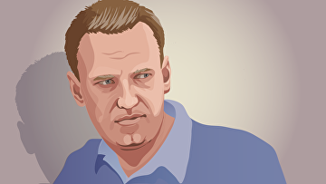 "Недостойно": адвокат о дискуссиях вокруг инцидента с Навальным
