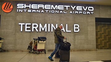 Суд взыскал с аэропорта "Шереметьево" 74 млн руб за нанесение вреда природе