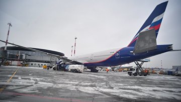 Аэропорт "Шереметьево" оспорил взыскание 74 млн руб за нанесение вреда природе