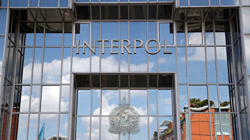 Интерпол готов оказать России содействие в расследовании теракта в "Крокус Сити Холле"