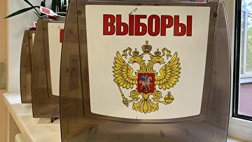 Международный эксперт назвал выборы в РФ безукоризненными