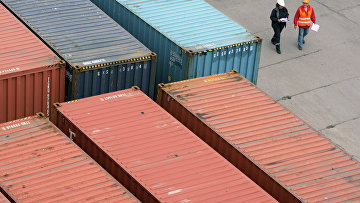 Больше тонны наркосодержащих растений нашли в морском контейнере из Узбекистана