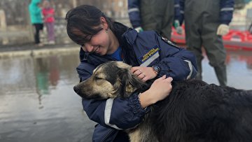 Добровольцы-спасатели ВСКС помогают спецслужбам в зоне ЧС в Оренбургской области