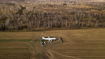 Кассация рассмотрит жалобу по делу пилота, посадившего Airbus в поле
